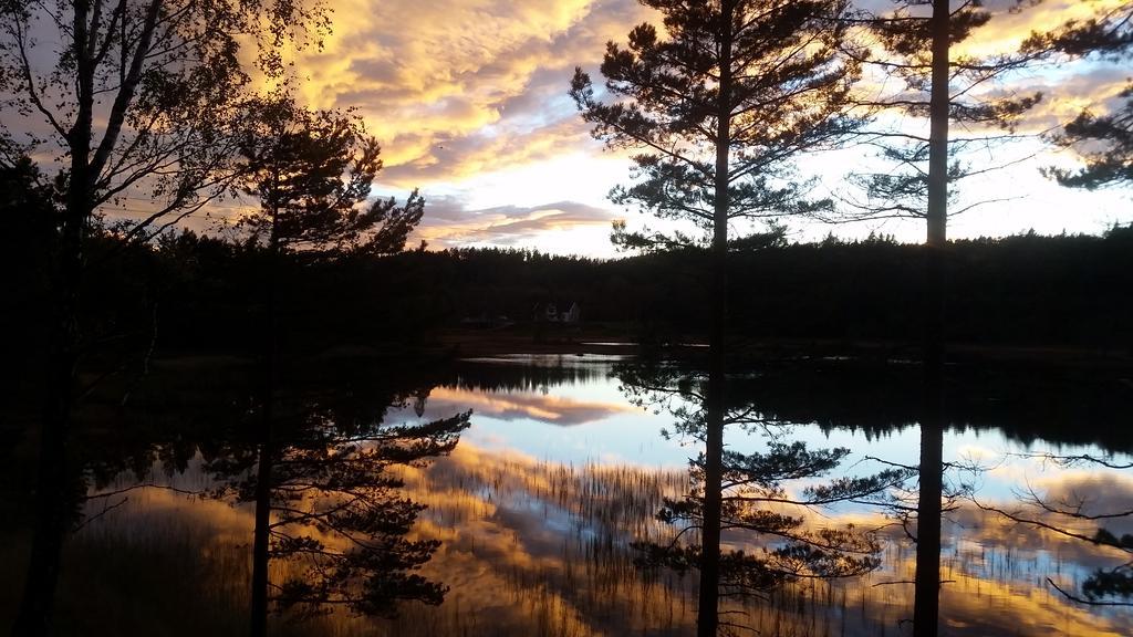 Bjorkeskogen Mjavatn Exterior foto