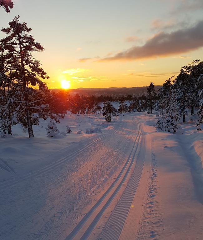 Bjorkeskogen Mjavatn Exterior foto